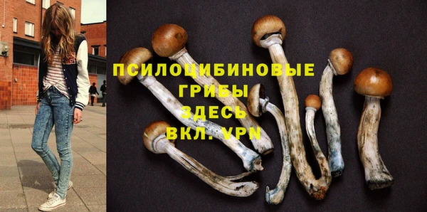 MDMA Осинники