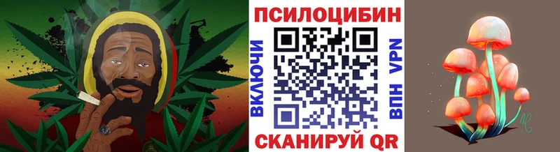 Галлюциногенные грибы мицелий  Пролетарск 